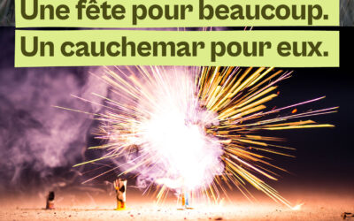 Feux d’artifice : la fête ne devrait pas être un cauchemar pour les animaux